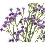 GIPSÓWKA GAŁĄZKA KOLOR FIOLETOWY 60 CM - obrazek 2