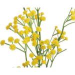 Żółta Gałązka Gipsówki 60 cm do Kompozycji Kwiatowych - obrazek 2