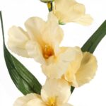 Sztuczny Kwiat Gladiola Kremowy 55 cm z Listkami Wysokiej Jakości - obrazek 2