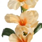 GLADIOLA ŁOSOSIOWA 55 cm - obrazek 2