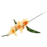 GLADIOLA ŁOSOSIOWA 55 cm - obrazek 3