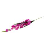 Gałązka gladioli kolor biało fioletowy - obrazek 3