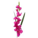 Sztuczna gałązka kwiatu gladioli w kolorze fioletowym, 70 cm - obrazek 2
