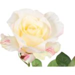 Gałązka róży z pąkiem w kolorze kremowym 70cm - obrazek 3