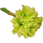 Bukiet Gerber, GRB-B7