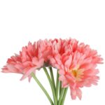 Bukiet 7 gerber na gumowanych łodygach w kolorze jasno różowym - obrazek 2