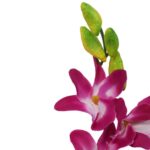 STORCZYK KWIAT SZTUCZNY CIEMNO RÓŻOWY - obrazek 3