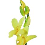 STORCZYK KWIAT SZTUCZNY ŻÓŁTY 65CM - obrazek 2