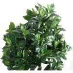 Sztuczne Drzewo Liściaste Niezawodnej Zieleni - obrazek 2