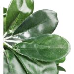 DRZEWKO ZIELONE 140 CM - obrazek 2