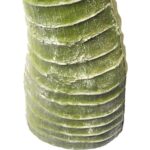 DRZEWKO ZIELONE 170 CM - obrazek 3