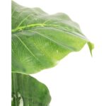 Stojące Drzewo Dekoracyjne - Zielone, Duże Listki, Wysokość 90 cm - obrazek 2