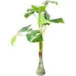 Stojące Drzewo Dekoracyjne - Zielone, Duże Listki, Wysokość 90 cm