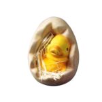 Ceramiczny kurczaczek z żółtym futerkiem wystający z jajka 9x6 cm