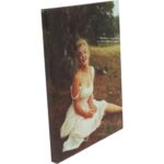 Obraz Merlin Monroe na trawie płótno 45cm x 34cm - obrazek 2