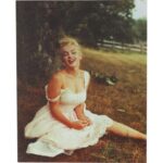 Obraz Merlin Monroe na trawie płótno 45cm x 34cm