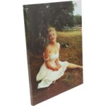 Obraz Merlin Monroe na trawie płótno 26cm x 20cm - obrazek 2