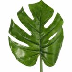 LIŚĆ FILODENDRONA 66 CM KOLOR ZIELONY - obrazek 2