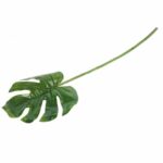 LIŚĆ FILODENDRONA 66 CM KOLOR ZIELONY - obrazek 3