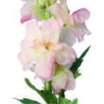 Sztuczna Gałązka Ostróżki Długiej Jasno Różowej - 78 cm - obrazek 3