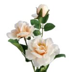 Sztuczna Gałązka Kamelii w kolorze kremowym - Dekoracja o Wysokości 54 cm - obrazek 2
