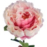 PIWONIA 68cm KOLOR JASNO RÓŻOWY - obrazek 2