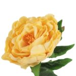 PIWONIA 68cm KOLOR ŻÓŁTY - obrazek 2