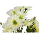 MARGARETKI GAŁAZKA WIELOKWIATOWA 70 CM KOLOR BIAŁY - obrazek 2