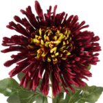 CHRYZANTEMA 76 CM BORDOWA - obrazek 2