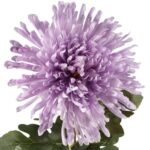 CHRYZANTEMA 76 CM JASNO FIOLETOWA - obrazek 2