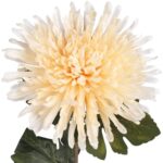 CHRYZANTEMA 76 CM KREMOWA - obrazek 2