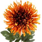 CHRYZANTEMA 76 CM POMARAŃCZOWA - obrazek 2