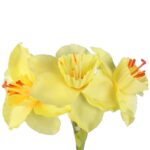 Sztuczna Gałązka z Żółtymi Narcyzami 42 cm - obrazek 2