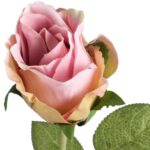 RÓŻA POJEDYNCZA 46 CM RÓŻOWA - obrazek 2