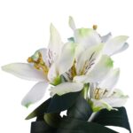 AZALIA GAŁĄZKA 7 KWIATÓW KOLOR BIAŁY - obrazek 2