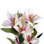 AZALIA GAŁĄZKA 7 KWIATÓW KOLOR RÓŻOWY - obrazek 2