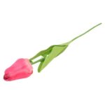 TULIPAN POJEDYNKA KOLOR CZERWONY - obrazek 3
