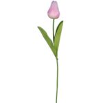 TULIPAN POJEDYNKA KOLOR JASNO RÓŻOWY