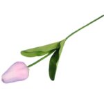 TULIPAN POJEDYNKA KOLOR JASNO RÓŻOWY - obrazek 3