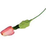 TULIPAN POJEDYNKA KOLOR ŁOSOSIOWY - obrazek 3