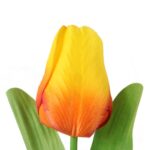 TULIPAN POJEDYNKA KOLOR POMARAŃCZOWY - obrazek 2