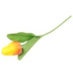 TULIPAN POJEDYNKA KOLOR POMARAŃCZOWY - obrazek 3
