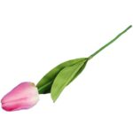 TULIPAN POJEDYNKA KOLOR RÓŻOWY - obrazek 3