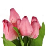 BUKIET 9 TULIPANÓW 44 CM KOLOR RÓŻOWY - obrazek 2