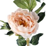 Sztuczna Gałązka piwonia z pąkiem w kolorze KREMOWYM  - Dekoracja o Wysokości 90 cm - obrazek 2