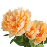 Gałązka DWÓCH PIWONII z pąkiem w kolorze KREMOWYM - obrazek 2