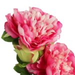 Gałązka DWÓCH PIWONII z pąkiem w kolorze RÓŻOWYM - obrazek 2