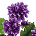 Gałązka 5 dalii w kolorze fioletowym - obrazek 2