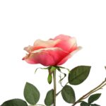 Gałązka róży z pąkiem w kolorze łososiowym 68 cm - obrazek 3