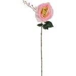 Gałązka róży z pąkiem w kolorze różowym - obrazek 2